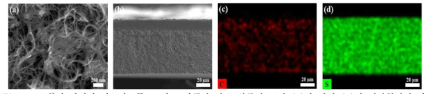 황이 담지된 탄소나노튜브-나노 다공성 탄소 양극의 표면 (a)과 단면 (b)의 전자현미경 사진. 이 극판에서 수행된 탄소(c)와 황(d)의 EDS elemental mapping 사진