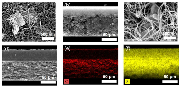 (a) Surface and (b) cross-sectional SEM images of CNT/c-OMS composite film. (c) Surface and (d) cross-sectional SEM images of S-CNT/c-OMS cathode, and the corresponding elemental mapping images of (e) carbon and (f) sulfur