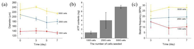 심장 모사 마이크로티슈의 특성 평가. (a) Seeding 세포 수 및 7일 배양기간 동안의 크기 변화, (b) Seeding 세포 수에 따른 7일 배양 후의 심장 모사 마이크로티슈의 ATP 측정, (c) 7일 배양기간 동안의 심장 모사 마이크로티슈의 박동 수