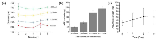 간 모사 마이크로티슈의 특성 평가. (a) Seeding 세포 수 및 8일 배양기간 동안의 크기 변화, (b) Seeding 세포 수에 따른 8일 배양 후의 간 모사 마이크로티슈의 ATP 측정, (c) 1000 cells로 제작된 간 모사 마이크로티슈의 8일 배양 기간 동안의 알부민 분비량