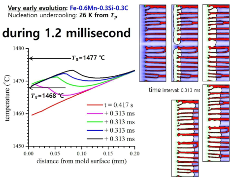 핵생성 직후 1.3 밀리초 동안 오스테나이트의 초기 성장 과정. 오른쪽에는 0.313 밀리초의 간격으로 미세조직의 변화가 나타나 있으며 왼쪽에는 몰드 벽으로부터의 거리에 따른 온도분포의 변화를 나타냈다