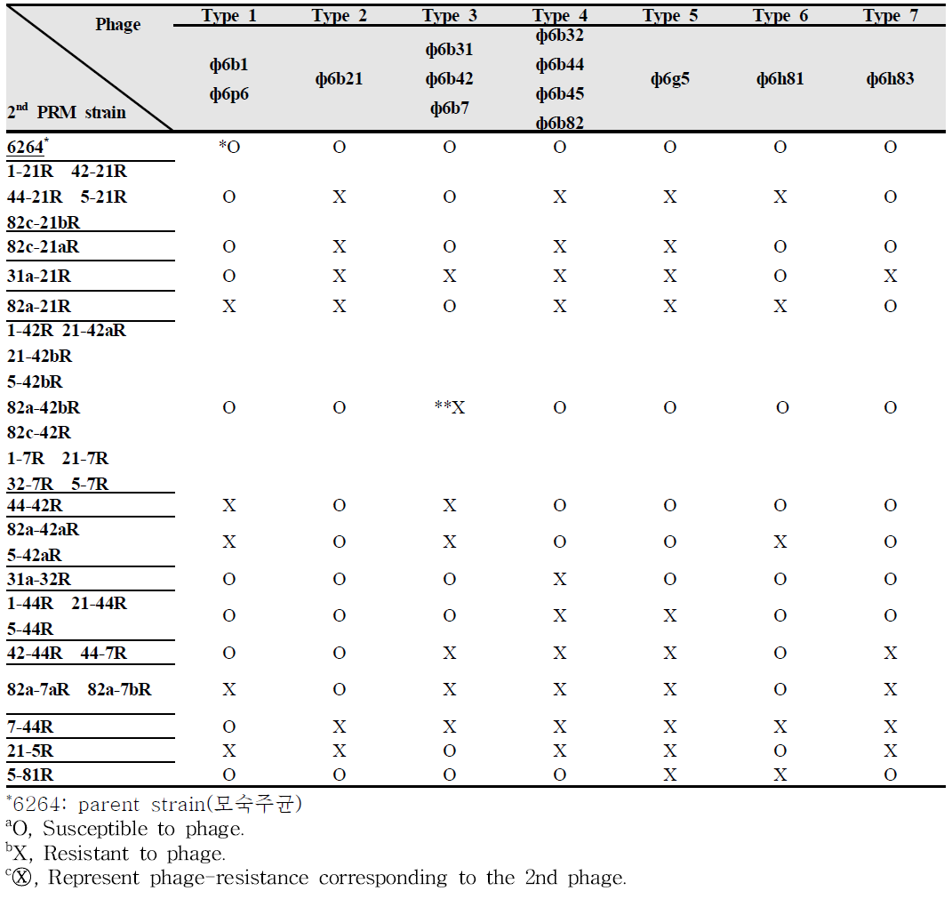 2차 파지저항성균주의 파지에 대한 민감도