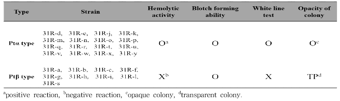 31R 파지저항성균주들의 병원성과 표현형 특성 간의 비교