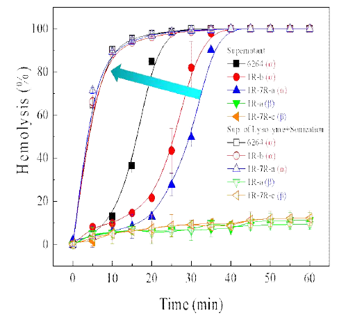 Lysozyme과 sonication 처리된 파지저항성균주의 용혈활성. Ptα type: P. tolaasii 6264, 1R-b, 1R-7R-a. Ptβ type strains: 1R-a, 1R-7R-c