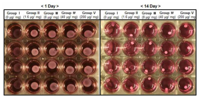 Group I; 0 ug heparin/mg collagen solution. Group II: 1.6 ug heparin/mg collagen solution. Group III; 8 ug heparin/mg collagen solution. Group IV; 40 ug heparin/mg collagen solution. Group V; 200 ug heparin/mg collagen solution