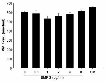 Proliferation of mesenchymal stem cells cultured for 1 week in different concentration of BMP-2 or osteogenic inducing supplement