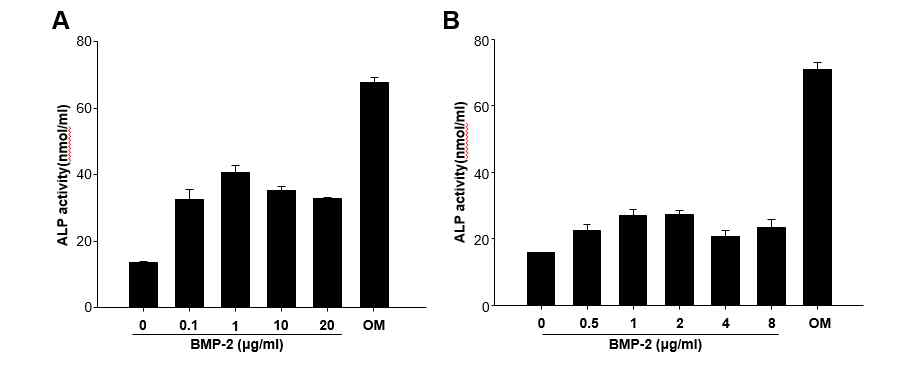 Quantification of alkaline phosphatase activity of the mesenchymal stem cells cultured for 1 week in different concentration of BMP-2 or osteogenic inducing supplement (OS)