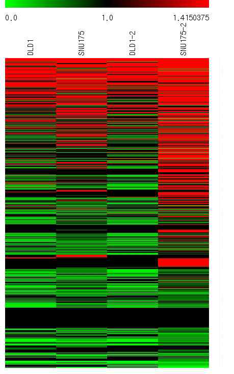 HEK293 대비 대장암 세포주의 piRNA heatmap(Fold)