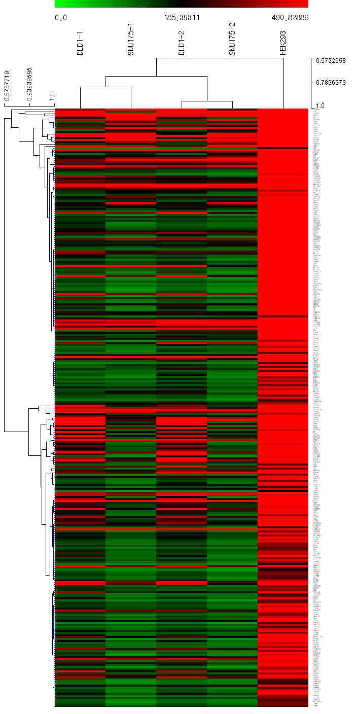 대장암 세포주에서 0.5배 이하로 감소한 유전자의 mRNA microarray