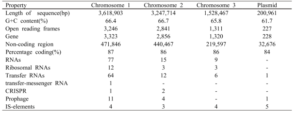 General features of B. contaminans SK875