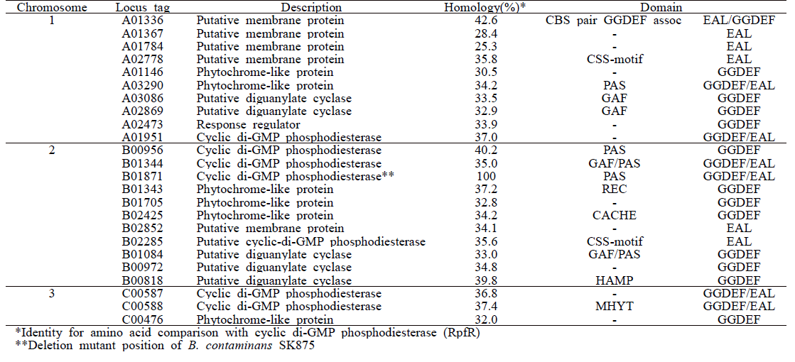 Gene position which carries GGDEF and EAL domains in B. contaminans SK875