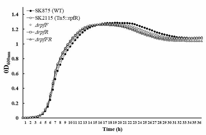 Growth of wild type and rpfFR deletion mutant in B. contaminas SK875