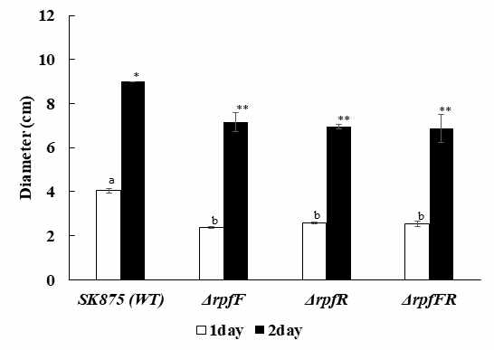 Swimming motility of wild type and rpfFR deletion mutant in B. contaminas SK875