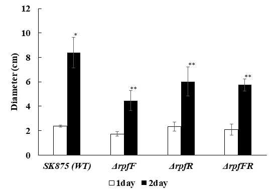 Swarming motility of wild type and rpfFR deletion mutant in B. contaminans SK875