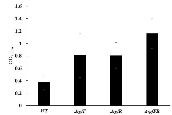 Biofilm assay of wild type and rpfFR deletion mutants in B. contaminans SK875