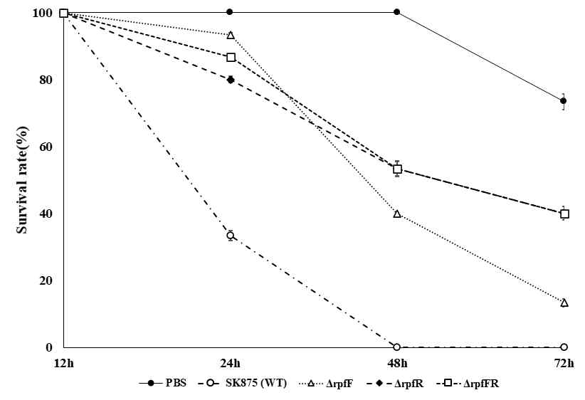 G. mellonella killing assay of wild type and rpfFR deletion mutants in B. contaminans SK875