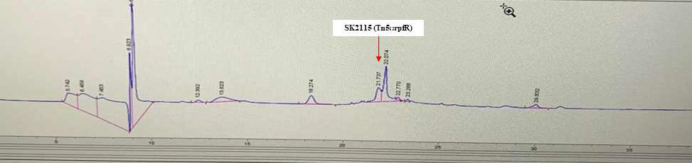 HPLC detected cyclic di-GMP in Tn insertion mutant SK2115