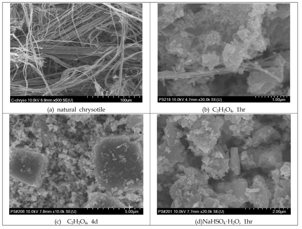 SEM image of natural chrysotile and reaction product obtained from the ration of chrysotile : oxalic acid or NH4HSO4·H2O : NH4F = 1: 0.3: 0.08 at 100℃ and the various reaction time
