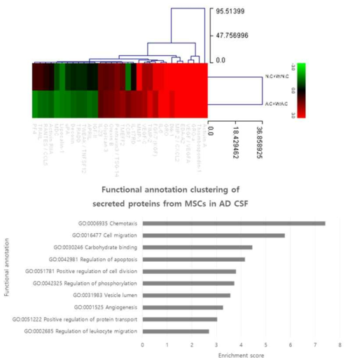 변화를 보인 분비 단백질 list (Average) 및 해당 단백질의 기능 분석