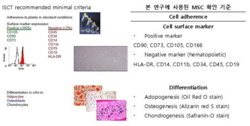 중간엽줄기세포 선별 기준