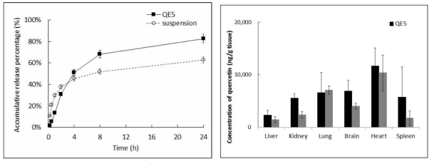 Quercetin 나노에멀젼 제형의 in vitro release test 및 조직분포