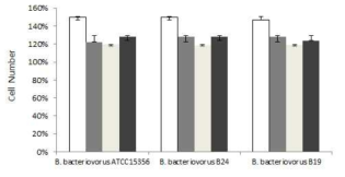 MTT assay for evaluation of cell toxicity of B. bacteirovorus HD100 and BD 24