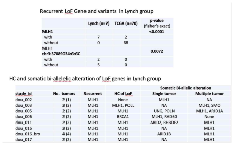 Lynch 증후군 관련 암발생위험변이를 가진 환자에서의 유전자/변이의 빈도 및 체세포에서의 loss of heterozygosity 여부