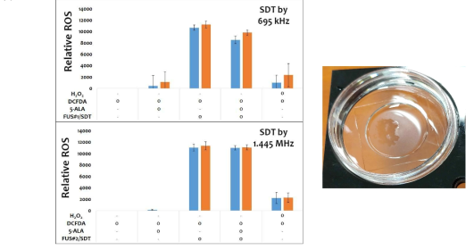 초음파 처리에 따른 ROS 생성 유도 in vitro 실험 결과