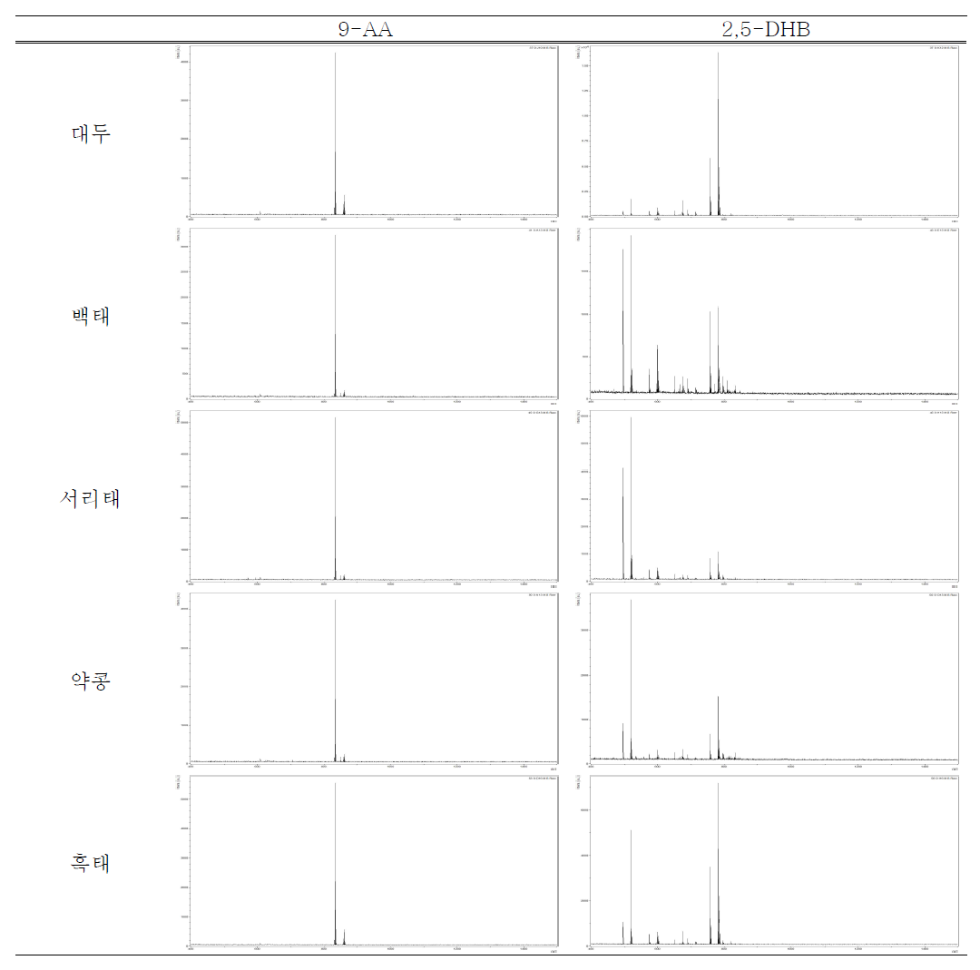 콩 시료 5가지의 MALDI Mass Fingerprint 스팩트럼