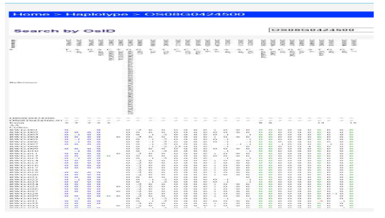 Menu : Haplotype