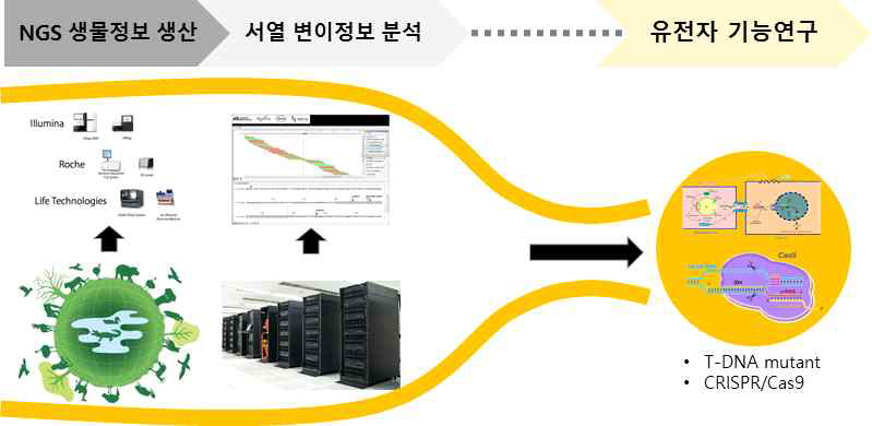 생물정보로부터 기능연구로의 과정