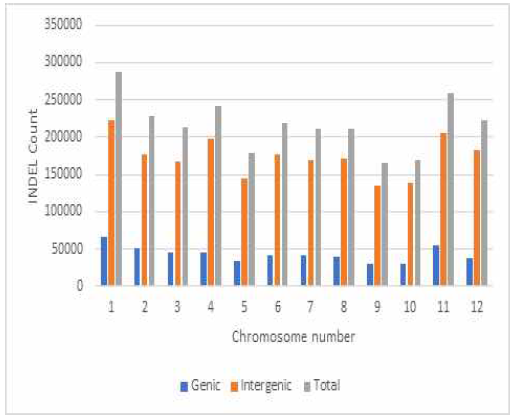 벼 핵심집단 294점의 chromosome별 Indel variants의 분포