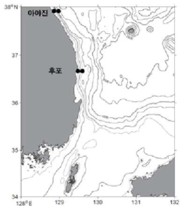 조사 정점도