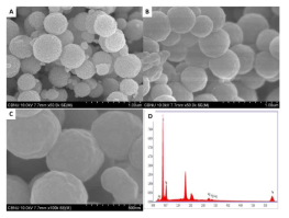 (A) SEM images of Fe3O4,(B and C); Fe3O4@SiO2@Ag, (d) EDS