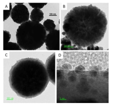 (A, B) TEM images of Fe3O4,(C, D); Fe3O4@SiO2@Ag