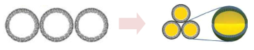 A Scheme of Fe3O4@Carbon, Fe3O4@carbon@Ag core-shell