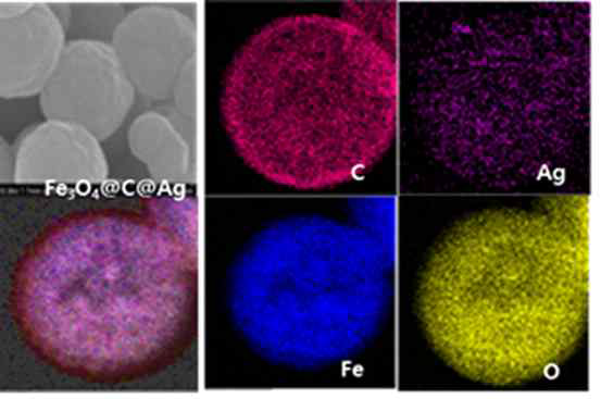 H-Fe3O4@C@Ag shows deposition of small Ag nanoparticles on the surface of H-Fe3O4@C