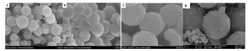 FESEM image of H-Fe3O4 (A) and H-Fe3O4@C@Ag (B, C), heat treatment at 500 oC (D)