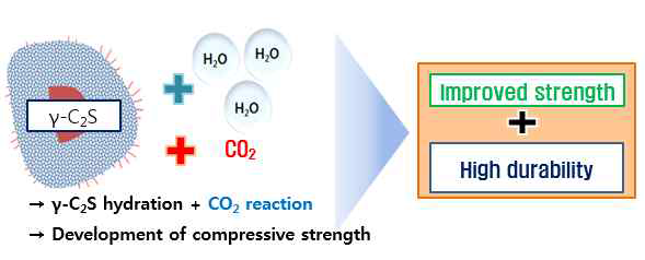 CO2 양생 concept
