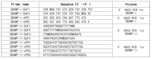 Primer sets used cDNA clonjng for SBAMP-I and SBAMP-II