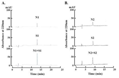 천연물과 합성물간의 역상 HPLC상에서의 머무름시간 비교 (A)천연물 SBAMP-I(N1)와 합성 SBAMP-I-OH(S1)간의 머무름시간 비교 (B) 천연물 SBAMP-II(N2)와 합성SBAMP-II-OH(S2)간의 머무름시간 비교