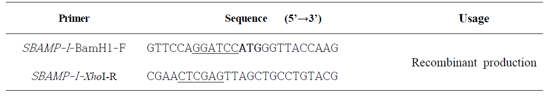 재조합SBAMP-I 생산과정에 사용된 primer set
