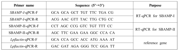 SBAMP-I,II의 RT-qPCR을 위해 사용했던 Primer set