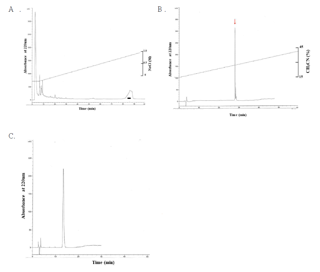 활성분획 A로부터 항균활성물질 SBAMP-I의 정제. A. 두번째 이온 크로마토그래피, B. 활성분획의 세번째 역상 크로마토그래피, C. 최종 정제 크로마토그래피. 활성분획은 black box와 화살표로 표시되었다