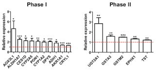 xenobiotic metabolism 의 phase 1과 phase 2에 해당하는 15개의 유전자의 qPCR validation 결과