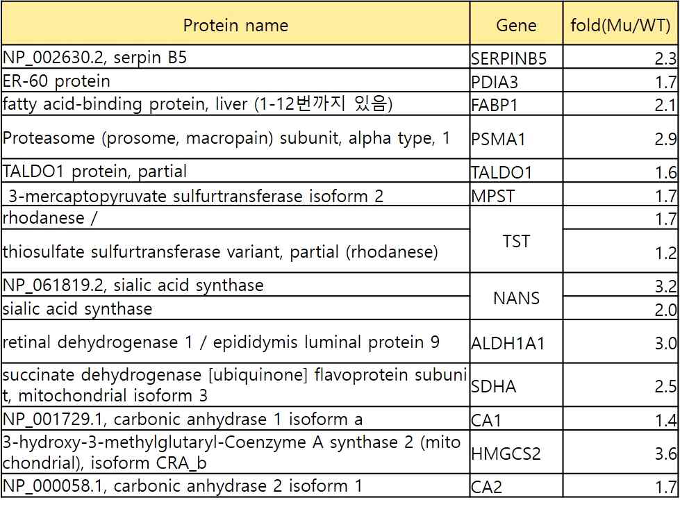 KRAS mutant 환자샘플에서 증가되는 단백질 리스트
