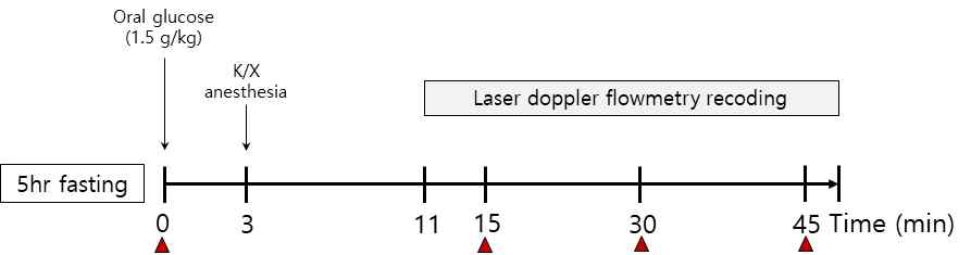 포도당 경구 투여 후, 실험 디자인. 화살표 (▲)는 혈당 측정 시점을 의미함