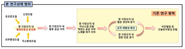 연구과제 범위