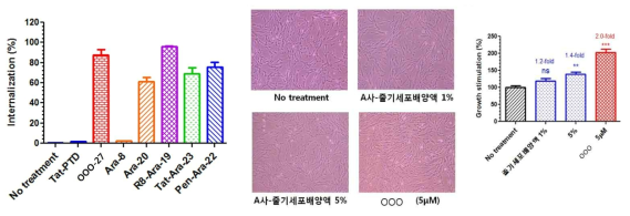 OOO-27은 기존의 세포 투과 펩타이드인 Tat-PTD 에 비하여 탁월한 세포막 투과 효율을 보여 주었으며, OOO-27기반 재생 펩타이드인 OOO은 기존의 줄기세포 배양액에 비하여 약 2.7배의 세포재생 효과 확인