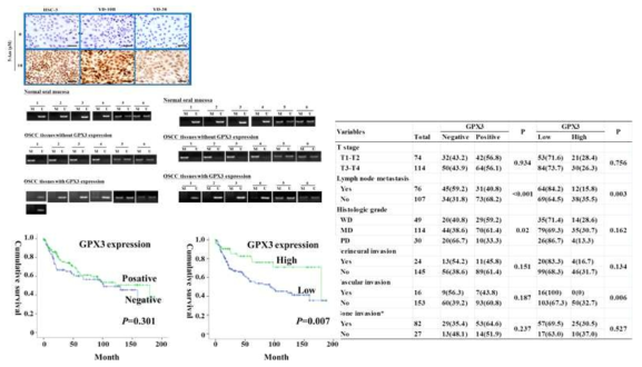 구강암에서 GPX3 발현이 미치는 영향에 대한 연구